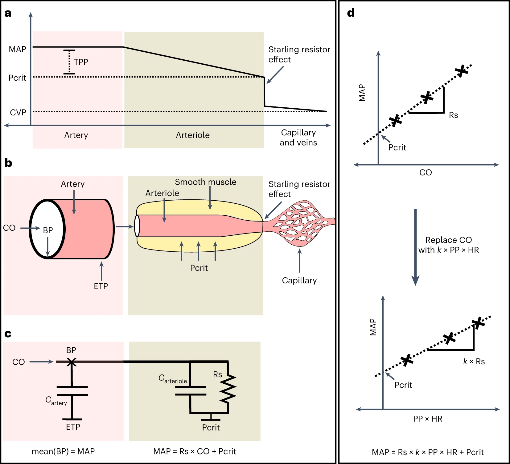 Physiological model used to derive tissue perfusion pressure from arterial blood pressure signals